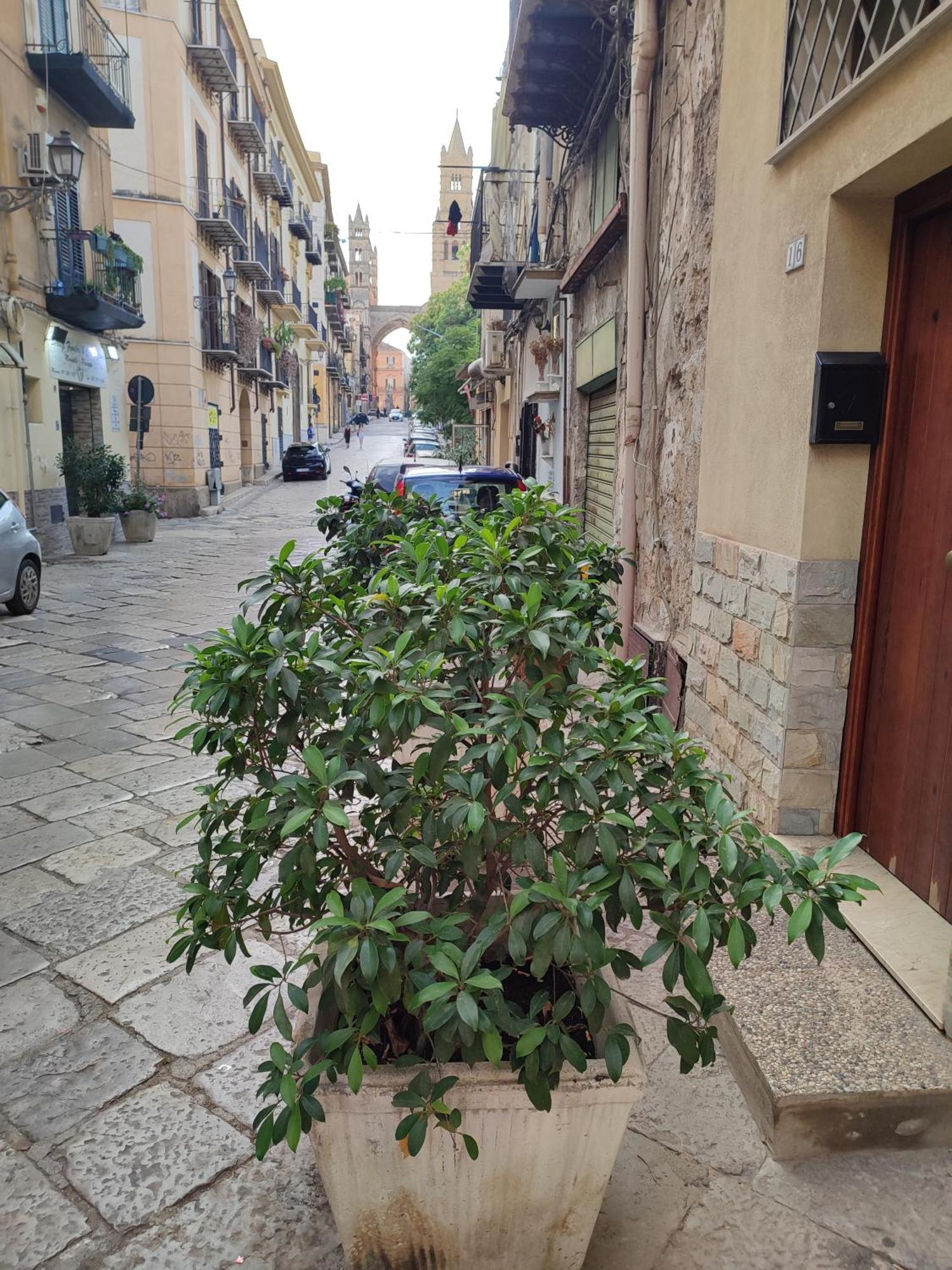 Vila Bonellus Palermo Exteriér fotografie
